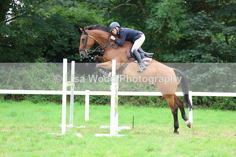 3E7A8604 - Class 8: Senior Foxhunter/1.20m open