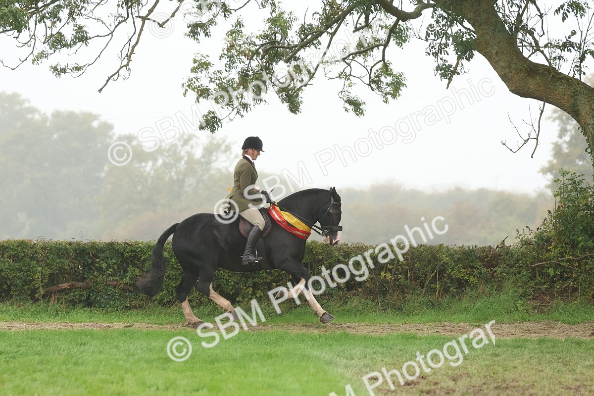 SBM_73214 - Super Supreme Championship(Sun)