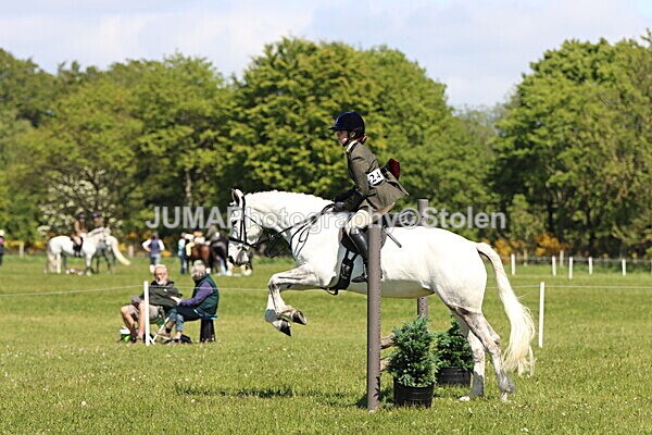 IMG_3961 - Working Hunter