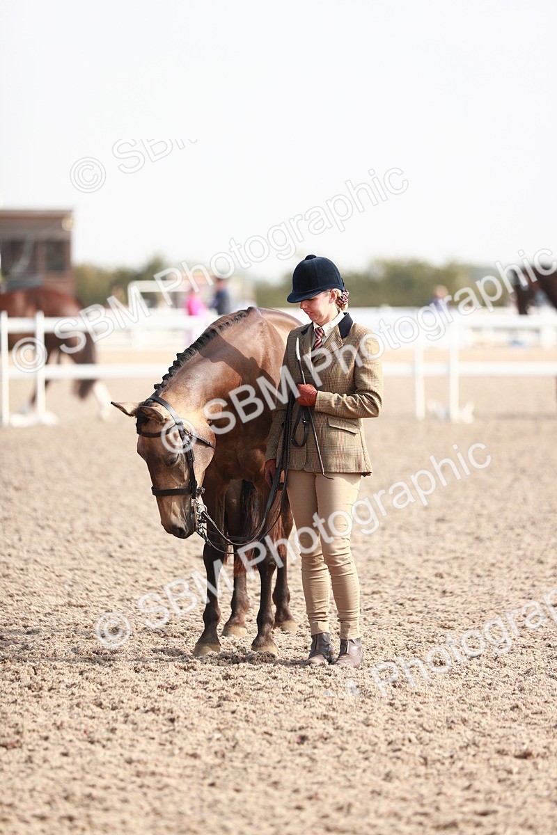 SBM_11084 - Class 205 IH Show Pony/ Show Hunter Pony