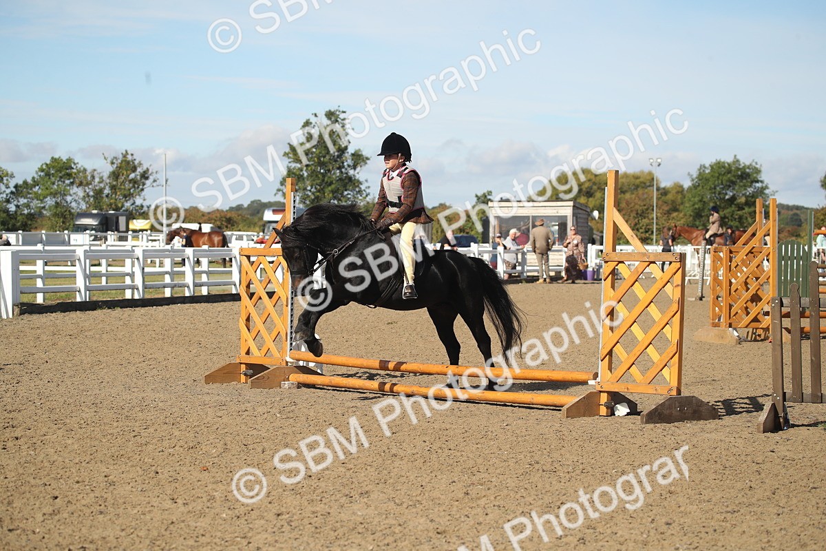 SBM_12689 - Class 504a - Junior Working Veterans - 40cm (15-19)