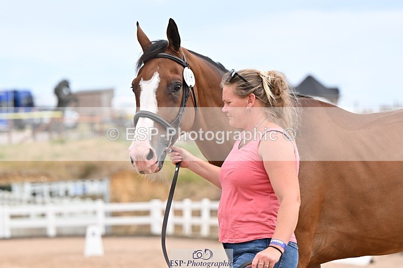 250716-152501-01920 - Trot Up 2.30 to 3.30