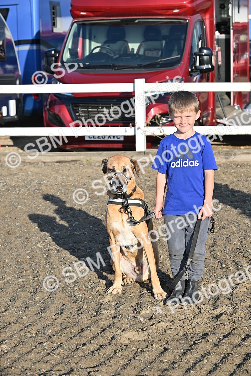SBM_09365 - Lorry Dogs