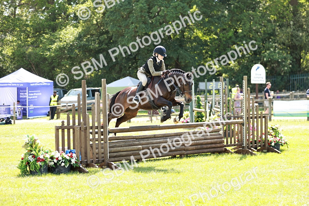 SBM_17580 - Class 112-113 - BSPS LIHS Working Sports Pony