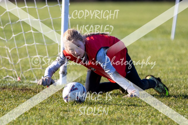 1DX31515 - 2026-01-17 FC Abbey Meads U9 Purple Girls V Develop FC U9 Girls