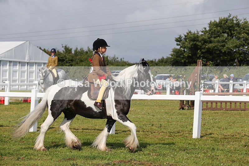 1X9A3453 - Skewbald and Piebald Ridden Championship
