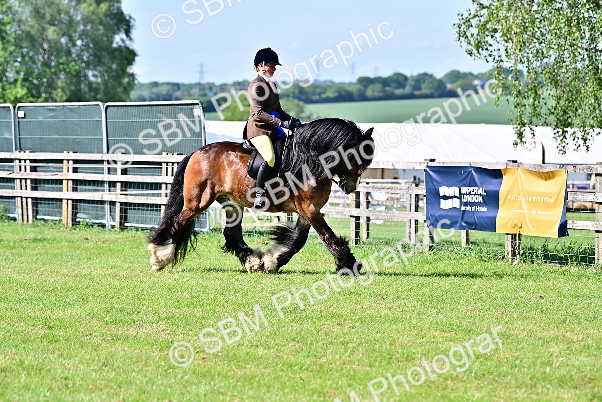 SBM_09473 - Class 63-65 - Traditional Gypsy Cobs In Hand & Ridden