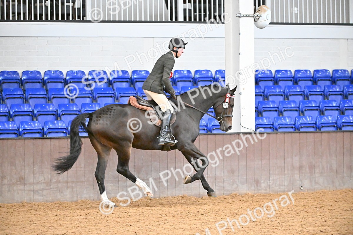 SBM_001481 - Class 19,20 - Ridden Native, Foreign Breeds & Warmbloods
