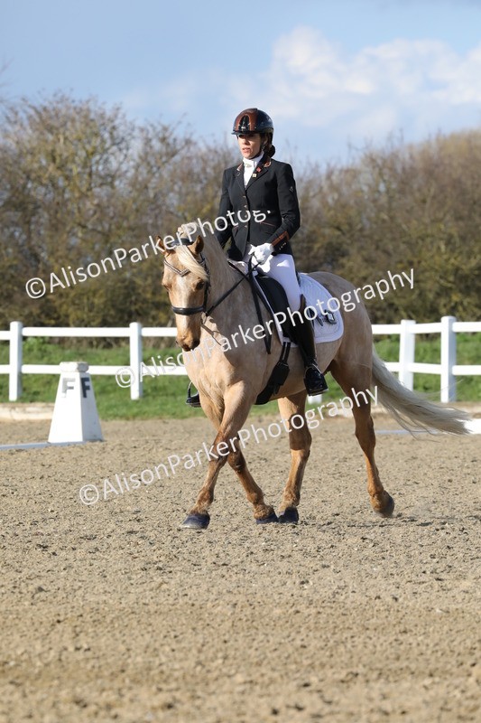 20260314-5795 - DR 7 - Elementary 1