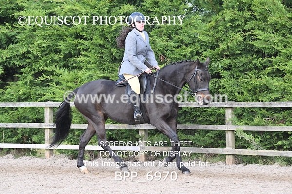 BPP_6970 - RING 1  (RIDDEN HORSES / IN HAND / VETERAN ETC)