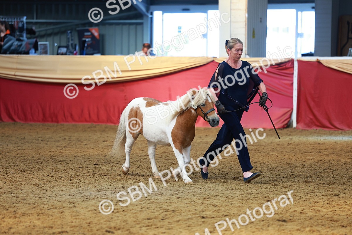 SBM_18503 - Class 903 - Sup Final - IH Pre Vet