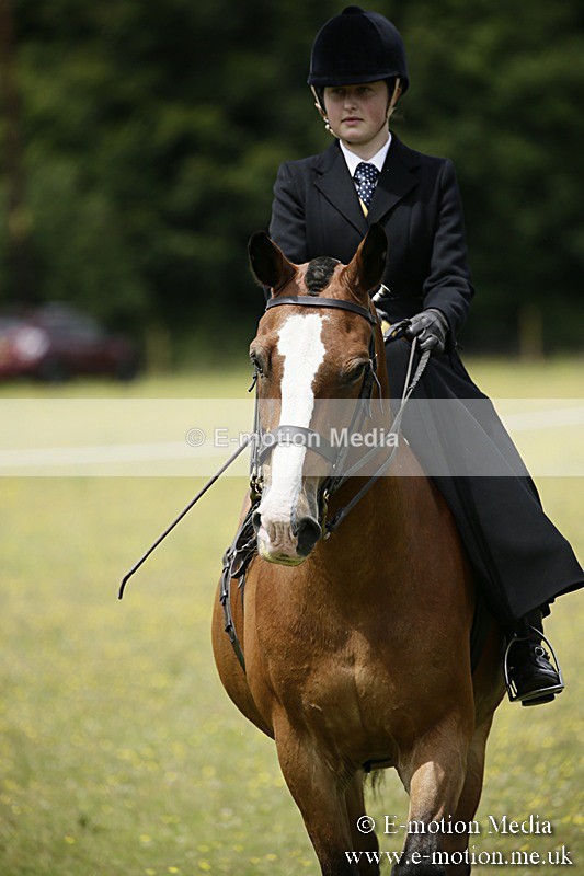 BVR160717-1620 - Side Saddle Classes 16/07/17