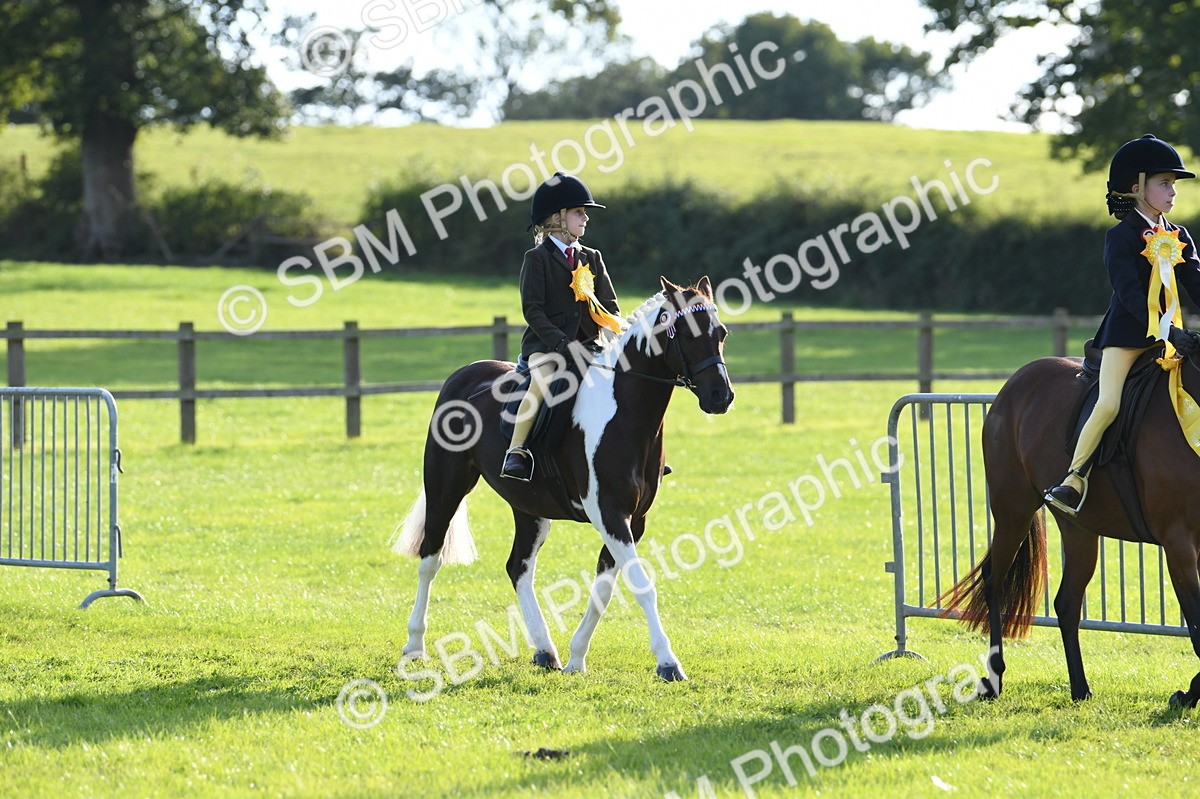 SBM_52463 - S22 - 1st Ridden Show & Show Hunter Pony