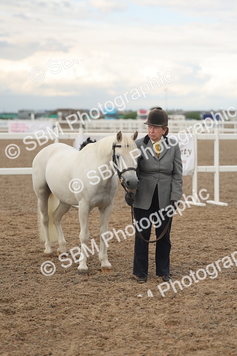 SBM_08546 - Class 29 - IH Veteran Pony