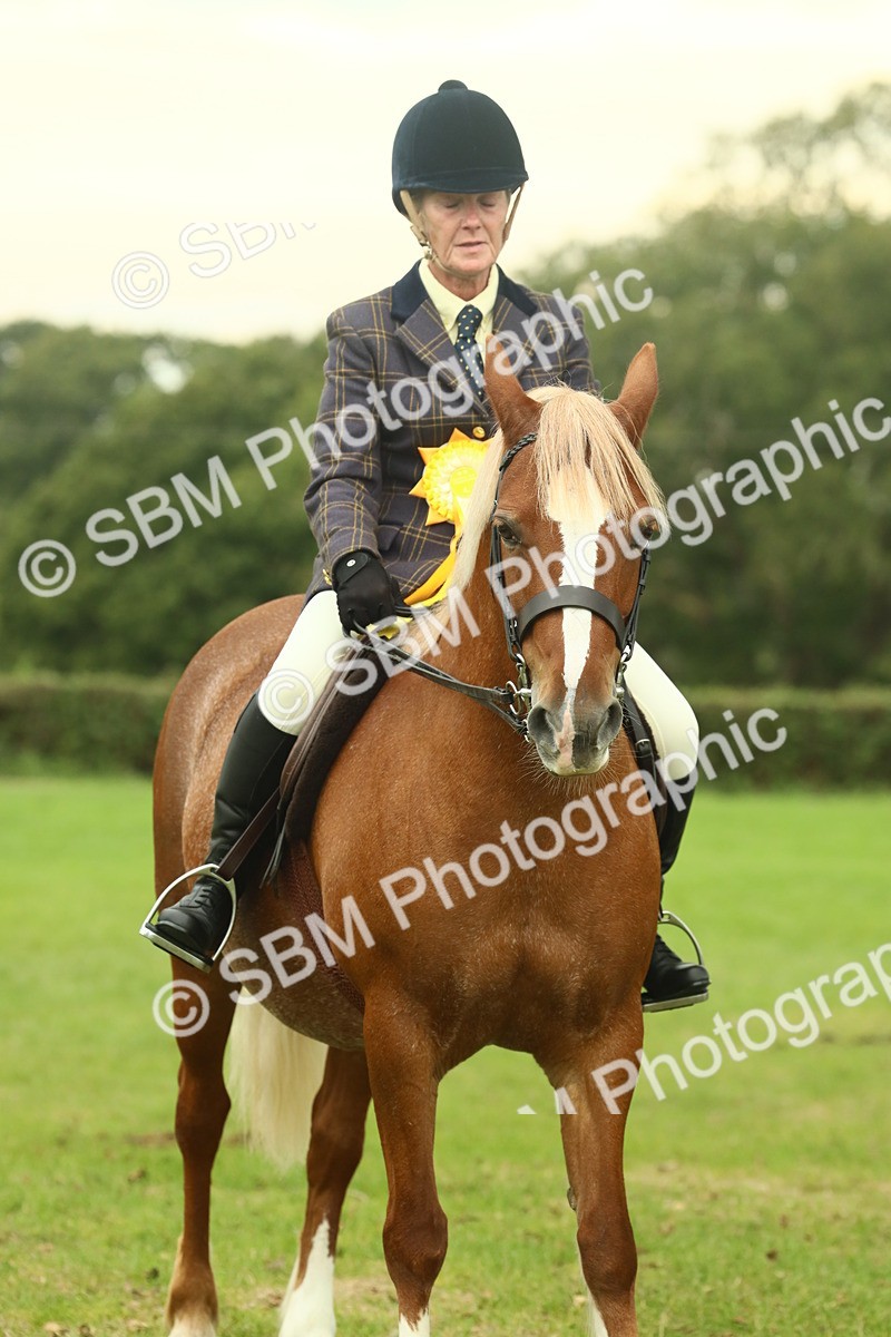 SBM_72326 - S60 - Mountain & Moorland Ridden Large Breeds