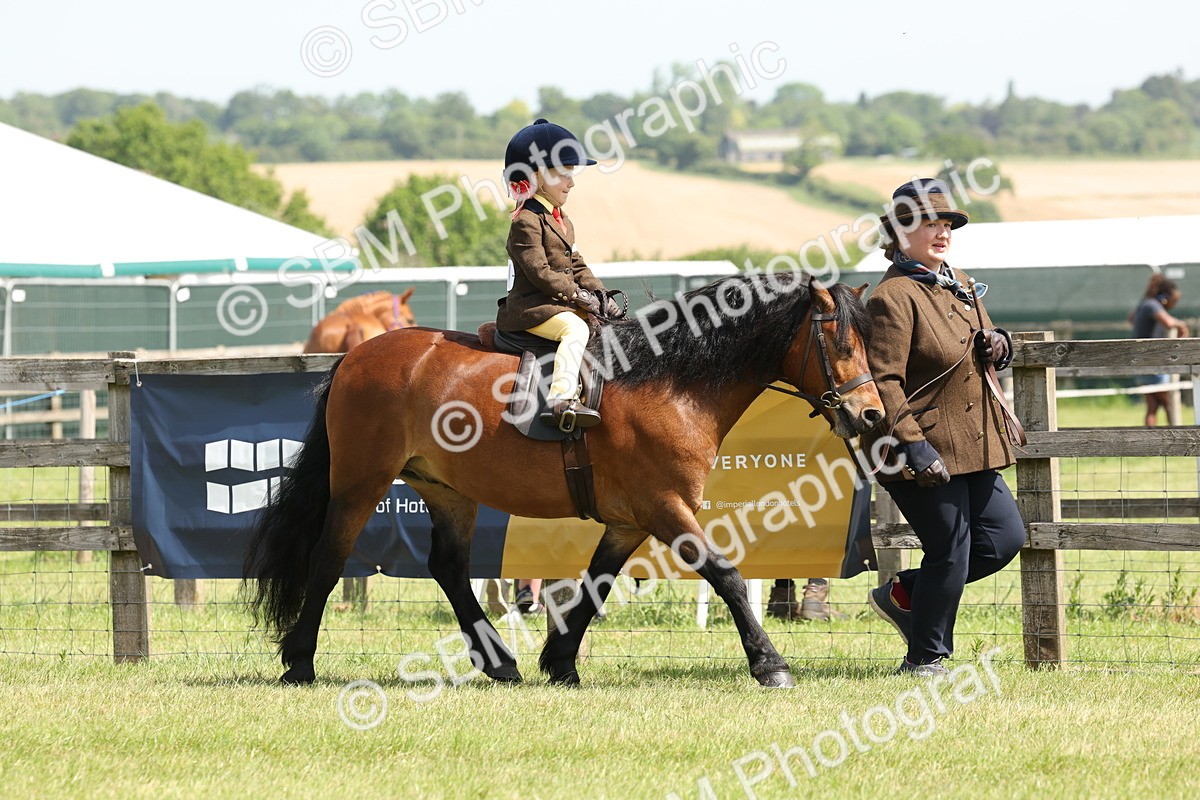 SBM_05179 - Class 24-25 - Mountain & Moorland In Hand Lead Rein and First Ridden