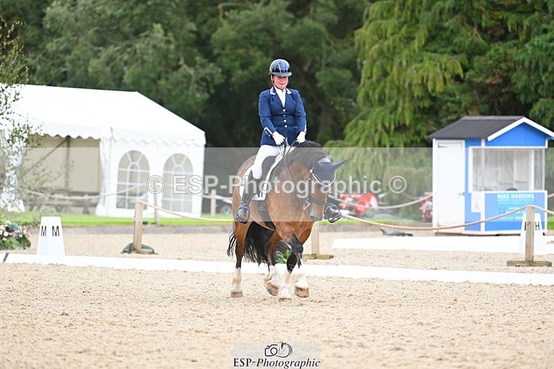 230813-142209-07743 - Cls 13 Medium Bronze 13.15 to End