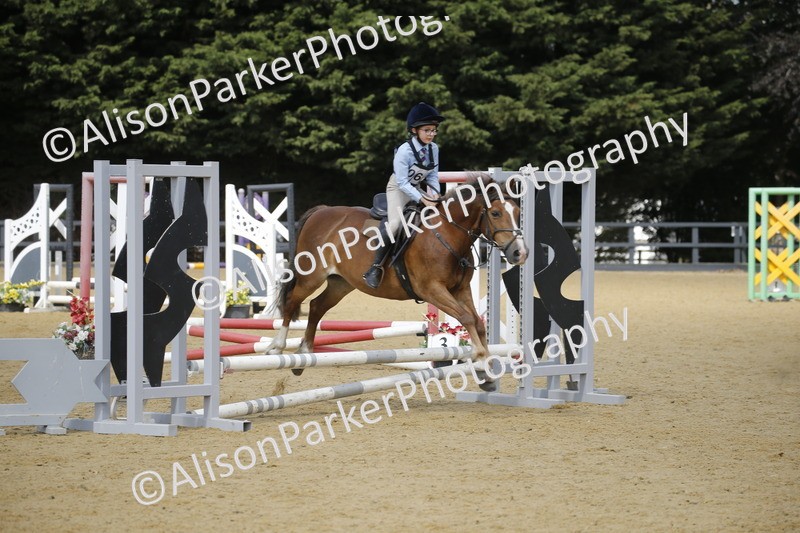 20250622-3834 - 50cm