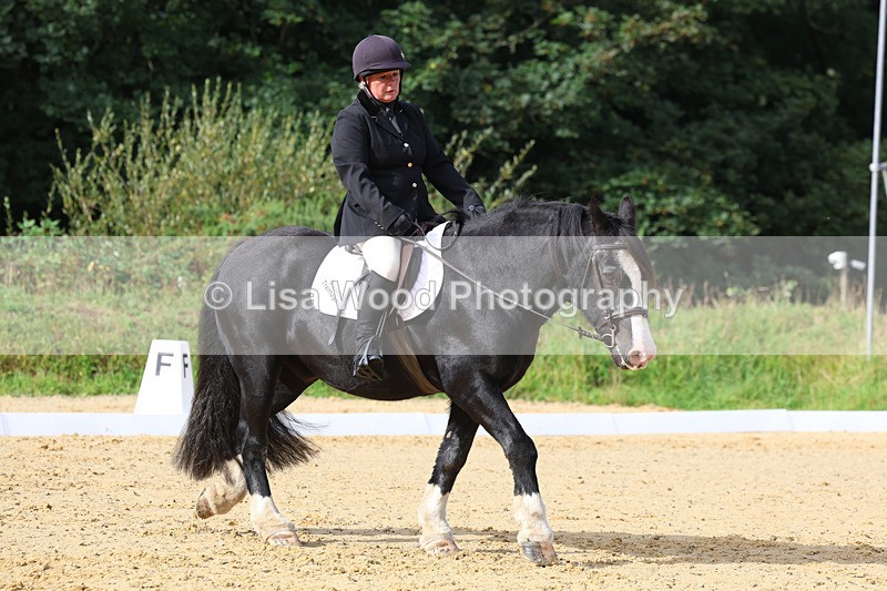 3E7A2332 - Class 1: Intro 4 2024 section A