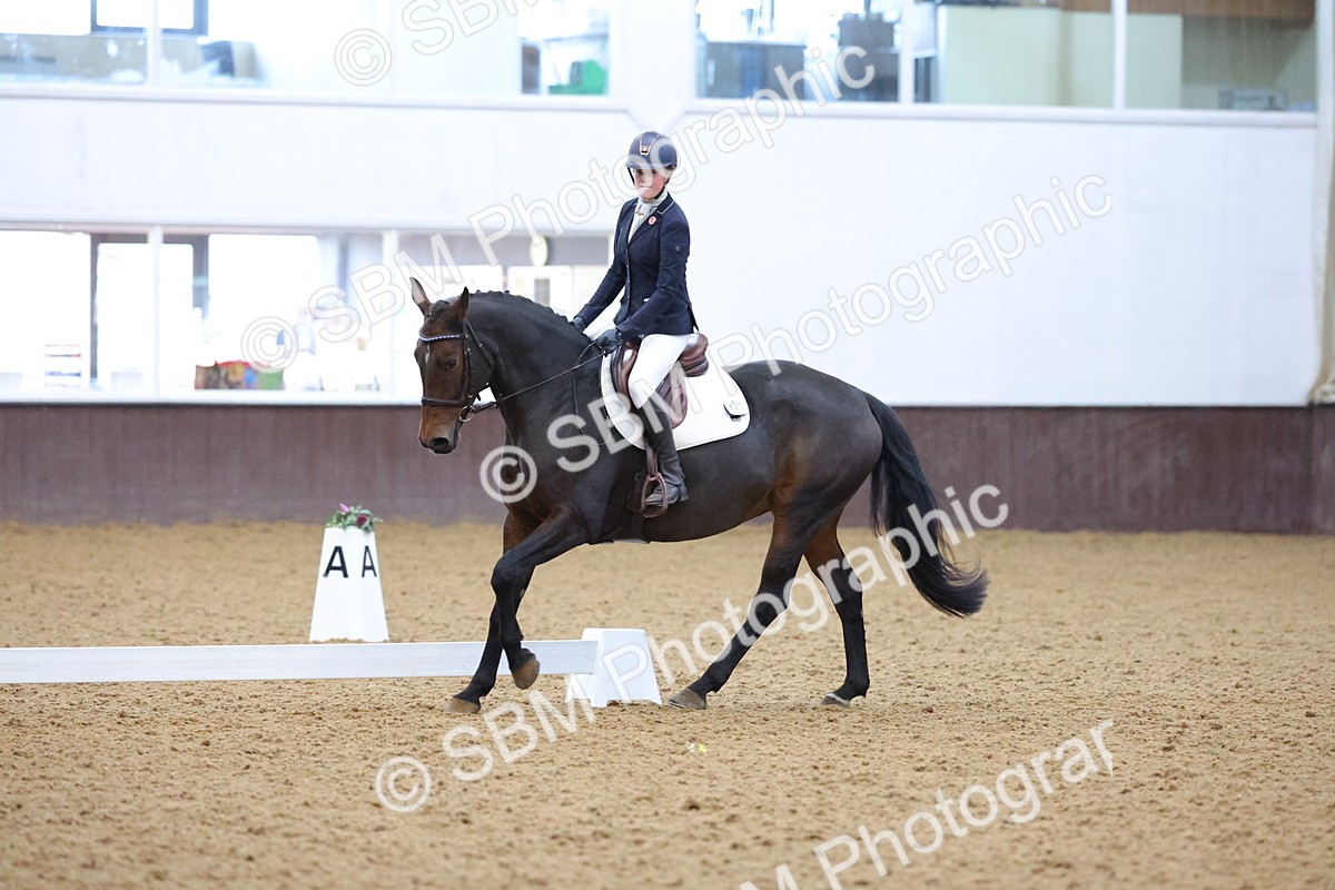 SBM_004233 - Intermediate