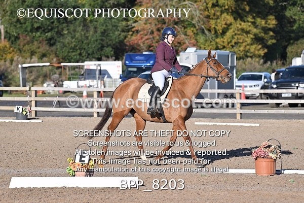 BPP_8203 - SHORT ARENA INTRO 1