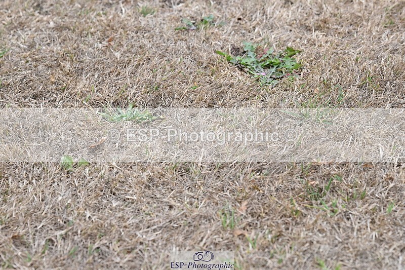 250820A-174547-12236 - Wednesday Presentations