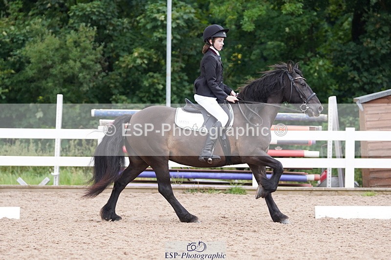 240809A-095250-00350 - Dressage Competition
