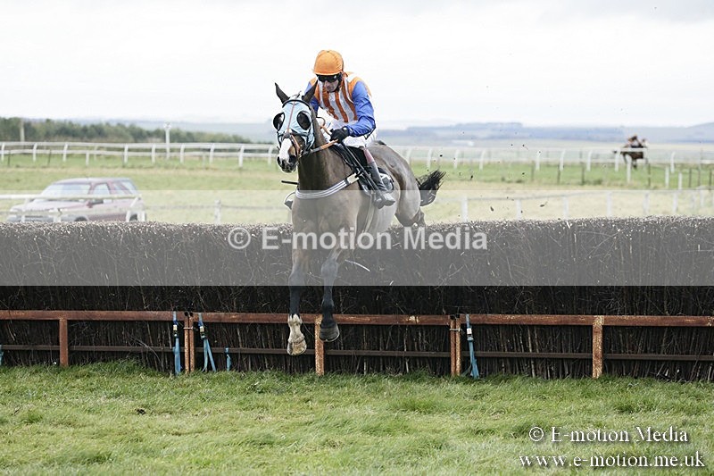 PtP 031217 301 - Hursley Hambledon Point-to-Point Larkhill 03/12/17