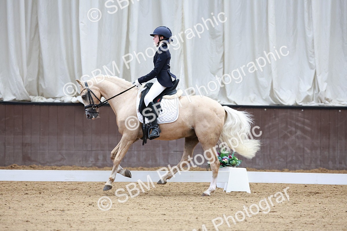 SBM_017396 - Class15 - FEI Pony