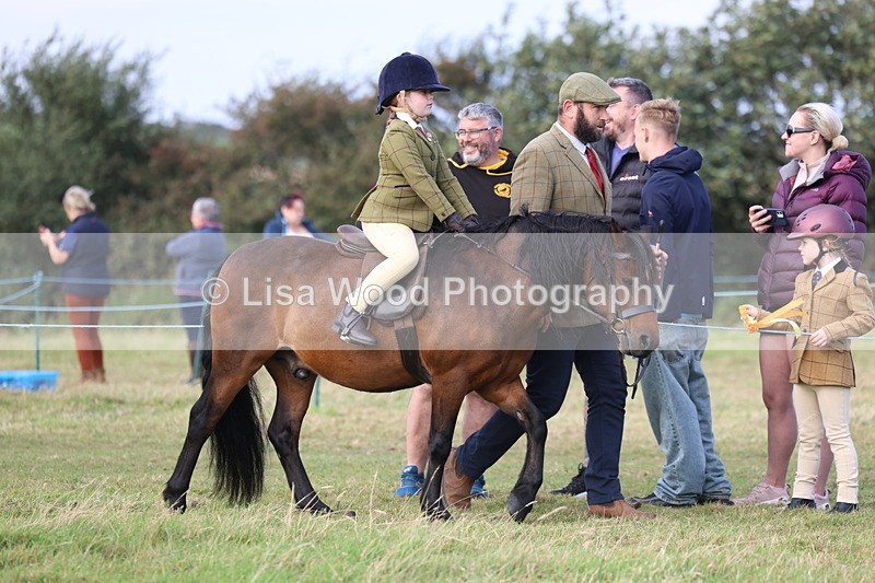 3E7A3333 - Class 2: Lead rein