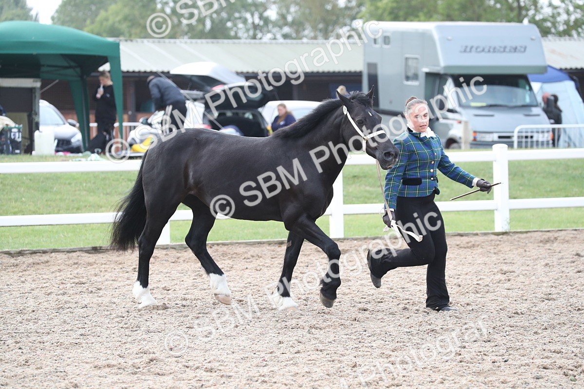 SBM_23326 - Class 606 - 2025 Area - IH Pre Vet