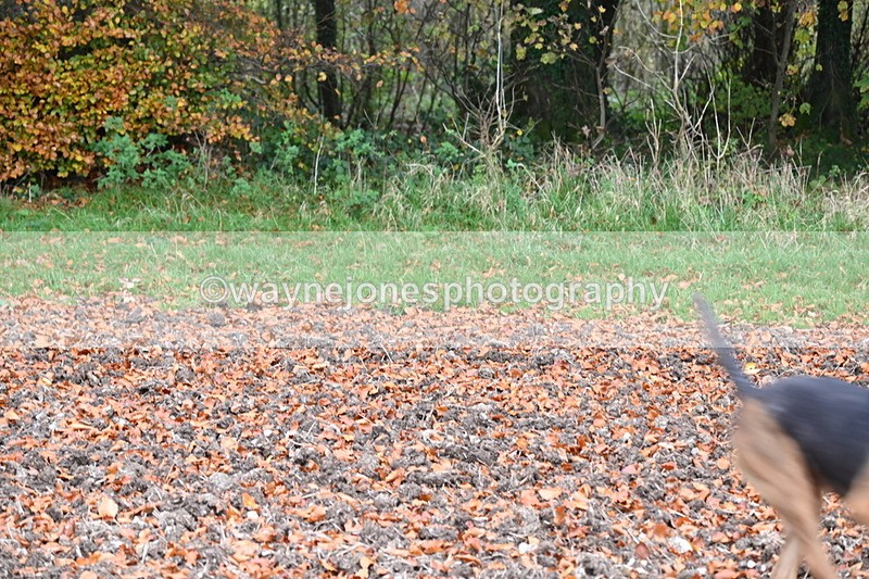 WJ6_8684 - Camera 2