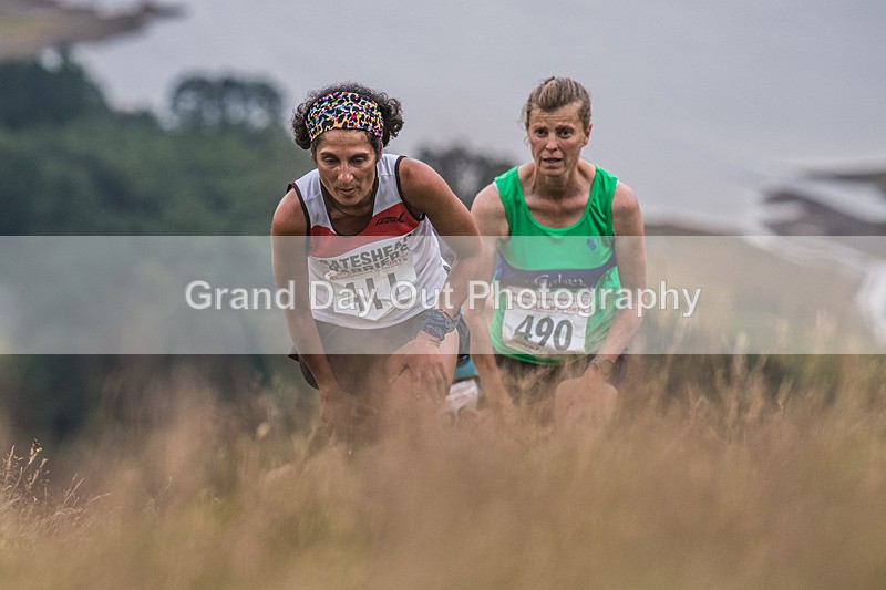 Steel Fell-335 - Steel Fell Race Wednesday 6th August 2025