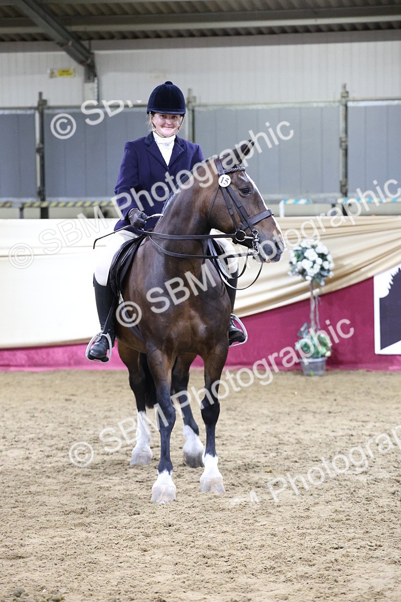 SBM_21186 - class Q - Ridden Horse Champ