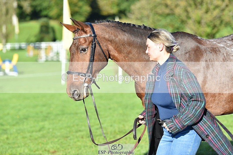 231022-100922-22272 - 482-ODDSPOT.VITAL.ELEMENT-Danielle.Davies-TrotUp+SJ