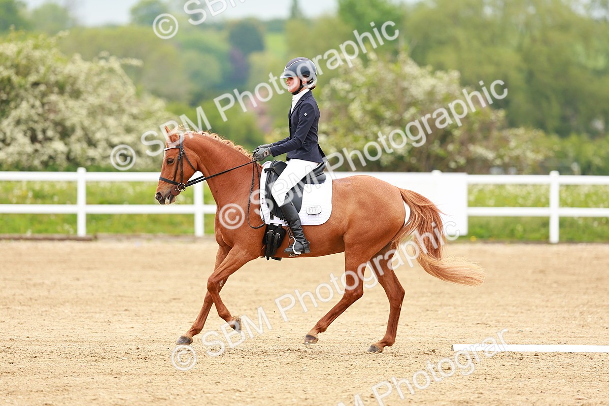 SBM_005220 - Class 16 - Novice 6
