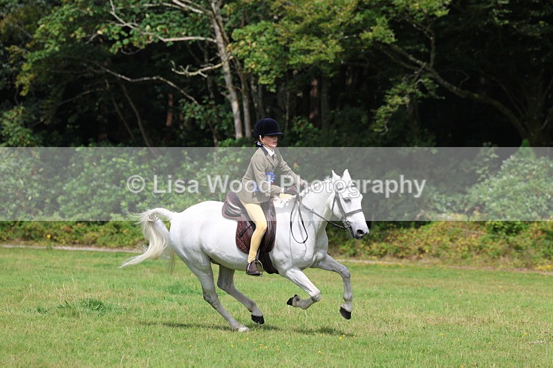 3E7A6088 - Working Hunter Championship