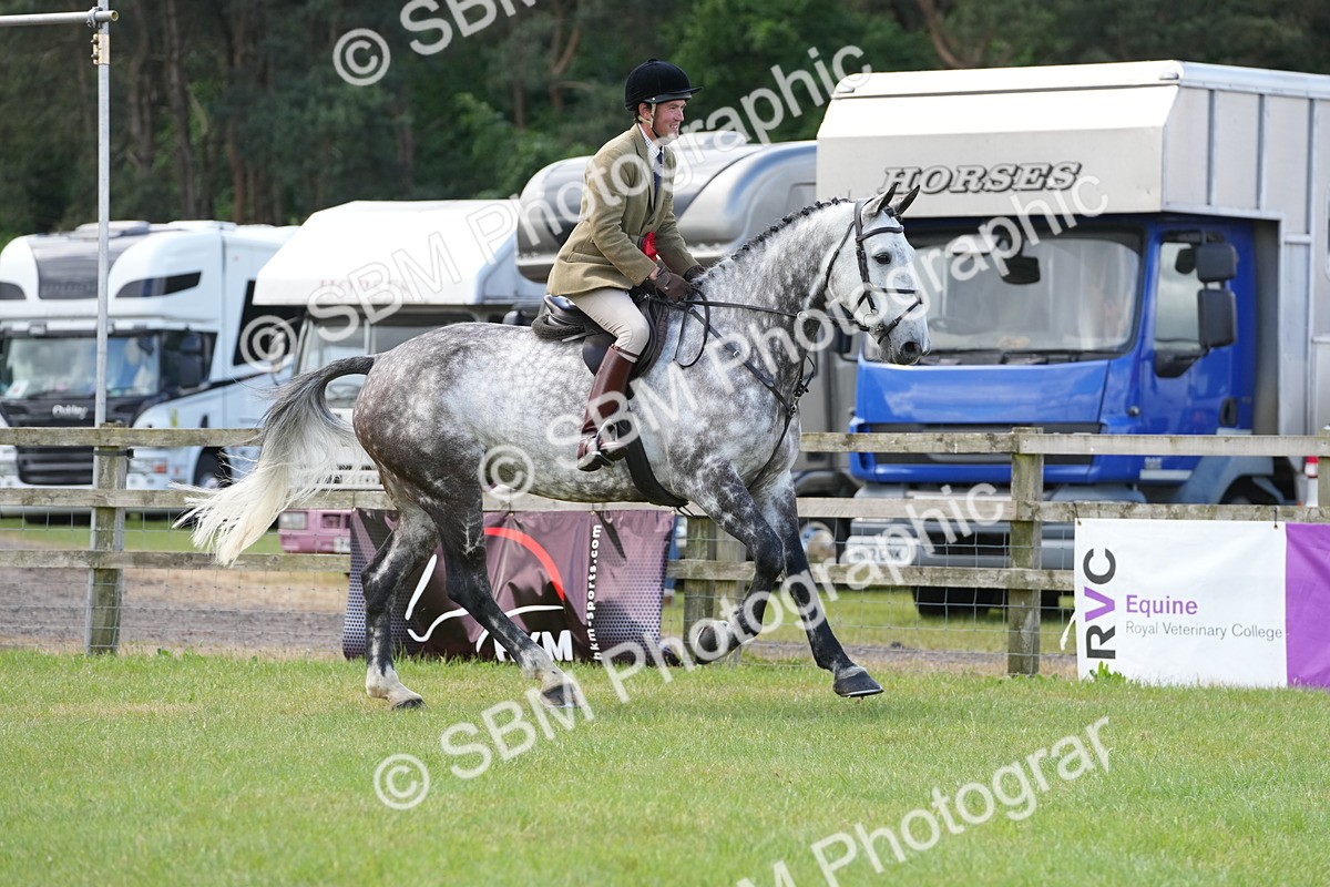 SBM_14911 - Class 100-102 - RIHS Working Hunter