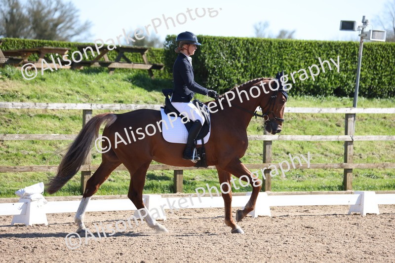 20260318-0525 - Class 5 - Novice 2