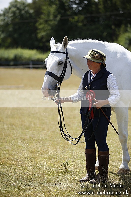 _C7A9799 - BVRC Sow 2018 Ring 2