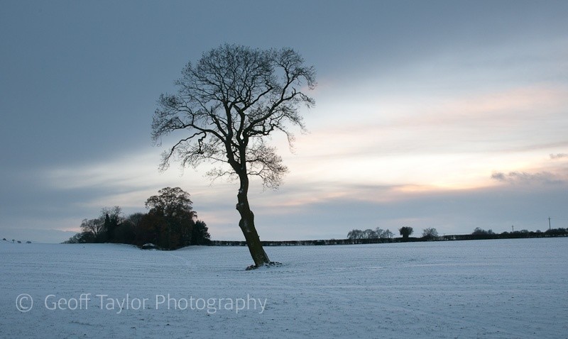 Presthope Farm - Wenlock Edge
