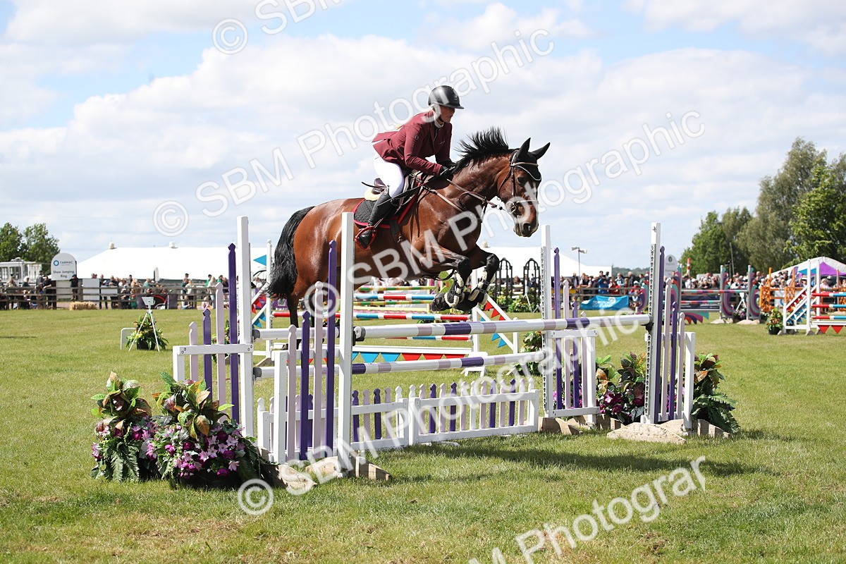 SBM_17390 - Class 208 - Senior Foxhunter 1.20m Open