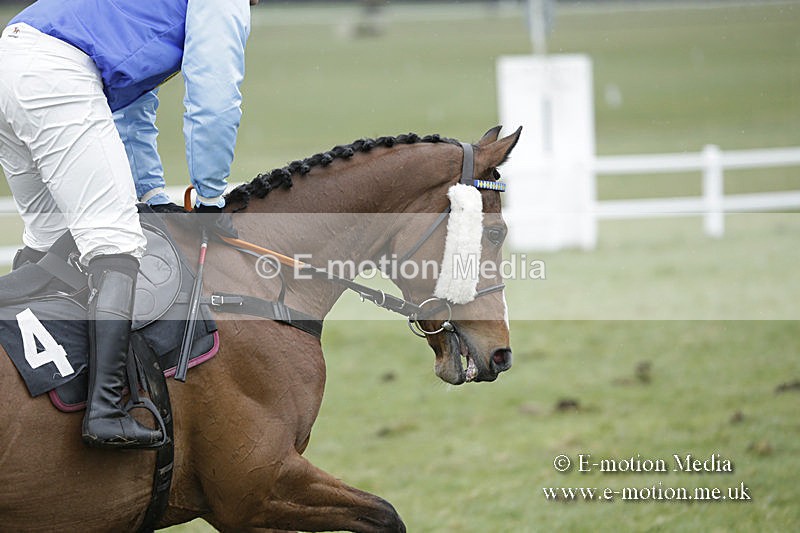 PtP 150320 0279 - New Forest Point-to-Point Larkhill 15/03/20