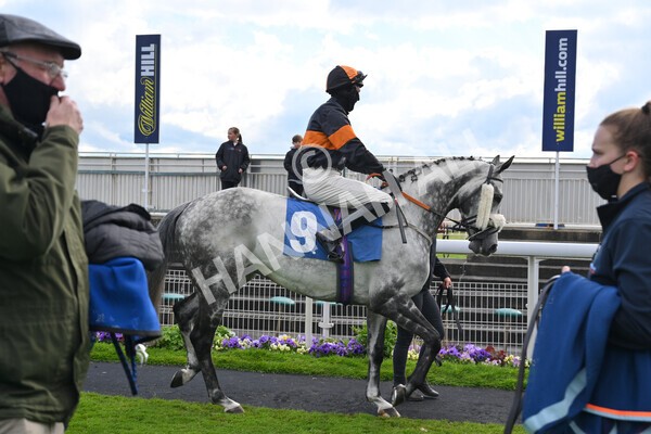 yr22052021r7-23 - Race 7 5.25pm Hudson Quarter York Palace Capital Stakes - Gentleman Amateur Riders Race