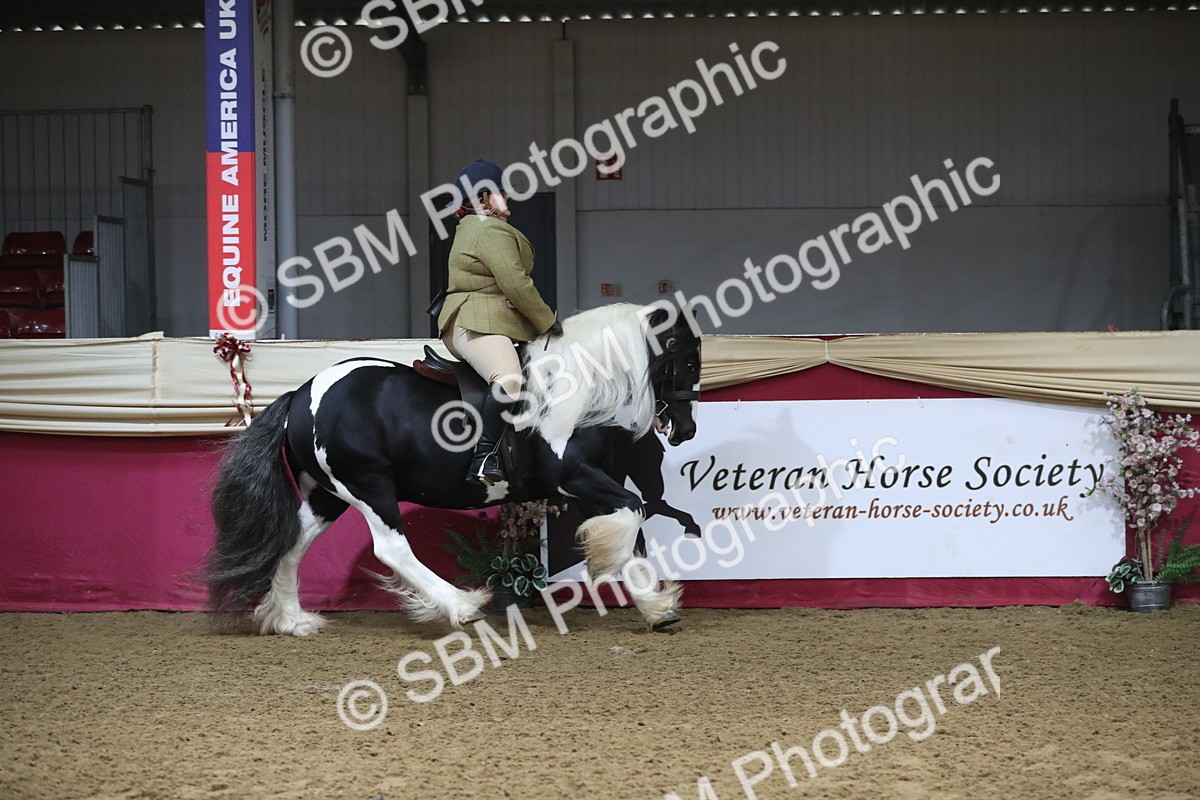 SBM_10383 - Class 102 Equitation (best rider) Adult