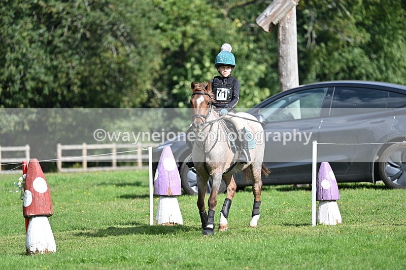 WJ7_4956 - 60cm Time 11:11 to 11:19