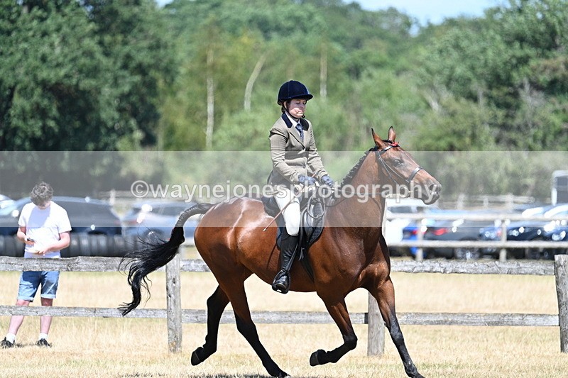 WJ7_3147 - Class 7 Riding Club Show Horse