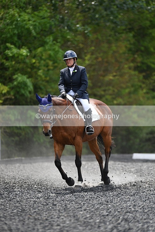 WJ5_0297 - Time 12:24 to 13:01