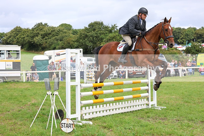 3E7A6902 - Class 5: Senior British Novice/90cm open