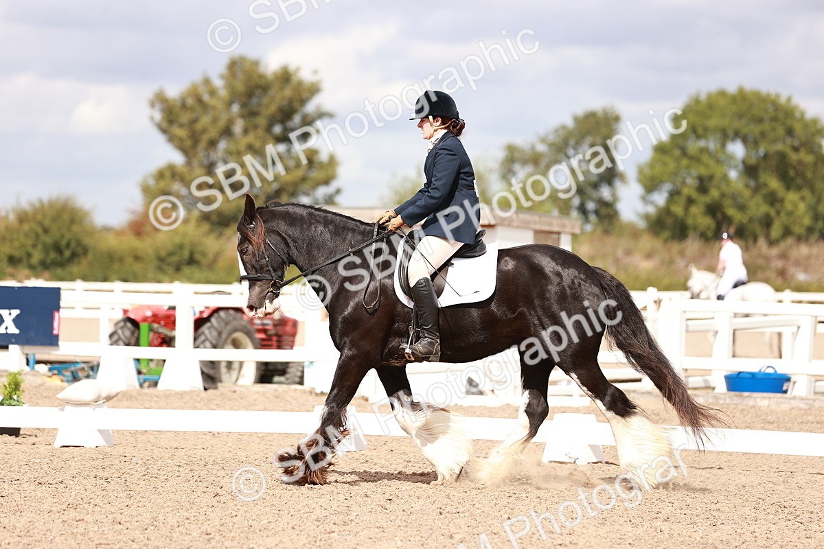 SBM_06198 - Class 37 - Novice 5